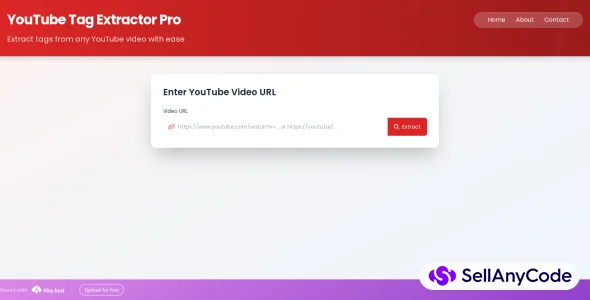 YouTube Tag Extractor Website Script