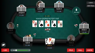 Online Poker Software