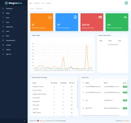 MagneSeo - The All-in-One SEO & Web Toolkit