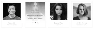 The Team Pro - Team Showcase WordPress Plugin