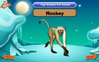 ABC Kids Tracing & Preschool Learning