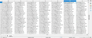France Verified Email List
