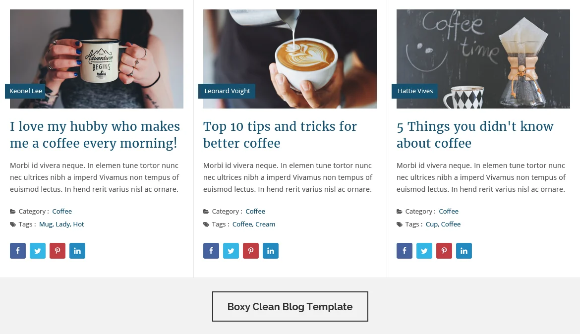 Blog Designer Pro for WordPress — screenshot 3