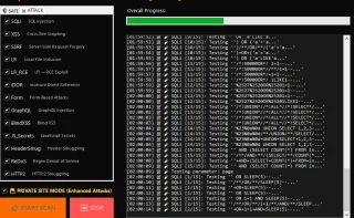 VulnScanner Pro