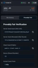 Crash Game Node.js Realtime Engine + Advanced RTP Control + Wallet & Referral System (Full Admin Panel)