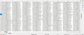 USA Verified Email List