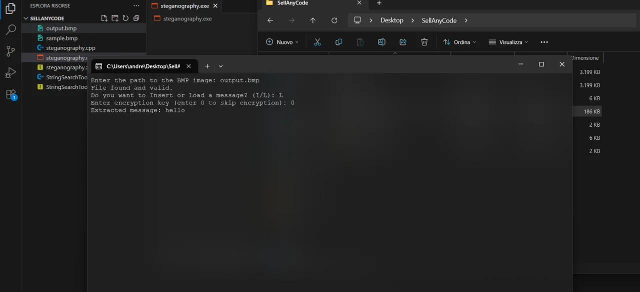 Steganography Tool (LSB with Optional XOR Encryption) — screenshot 3