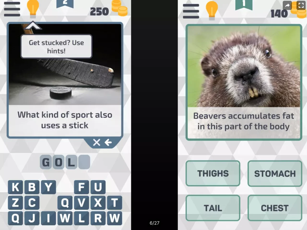 Picture Quiz Plus — screenshot 1