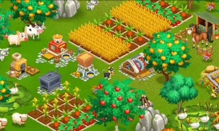 Magic Farm Life