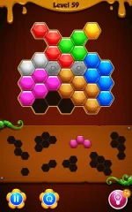 Hexa Puzzle Blocks Top Free Game