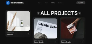 Raven Portfolio for All Business