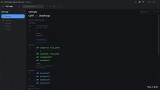 DataForge Pro - Python Data Processing Templates