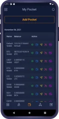 Cpocket – CryptoCurrency Wallet Flutter App