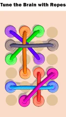 Rope Tangle Twisted Ropes