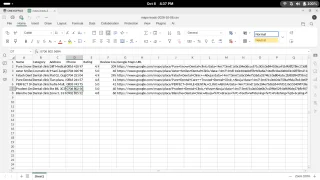 Google Maps Lead Collector - Chrome Extension