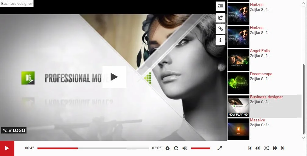 Elite Video Player - WordPress Plugin — screenshot 2