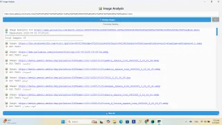 Web Image Analyzer