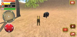 Wild Cheetah Simulator: Savanna Tiger 3D 64 Bit Source Code