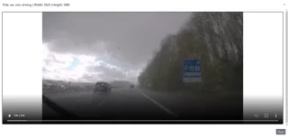 Mega Video Search