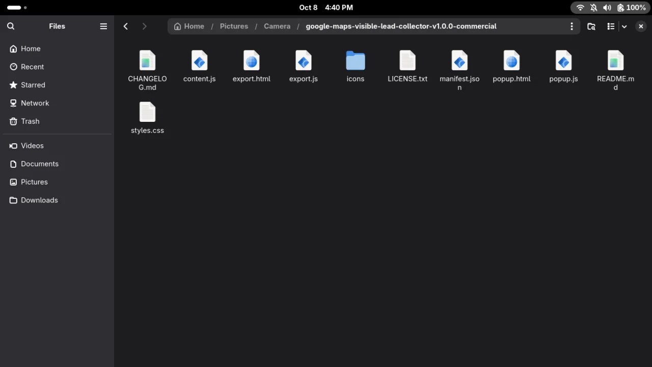 Google Maps Lead Collector - Chrome Extension — screenshot 5