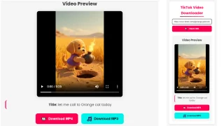 TikTok Video Downloader Without Watermark Pure Frontend Tool