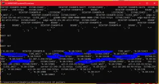 Discord IP Puller