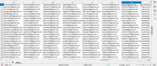 USA Verified Email List