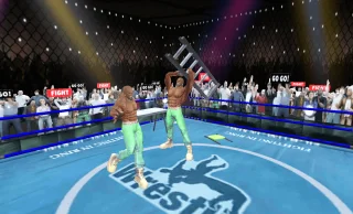Ring Wrestling Championship 3D