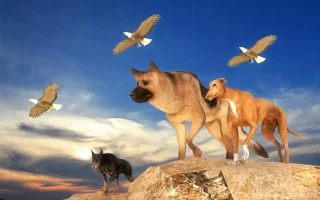 Angry Dog Attack Competition 3D