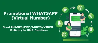 Promotional WhatsApp Marketing Service Send Bulk Messages with Virtual Number