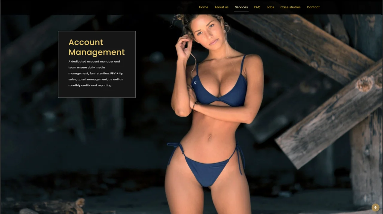 Agency Template Website — screenshot 3