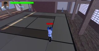 Karate Fight