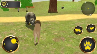 Lion Family Game Full Project