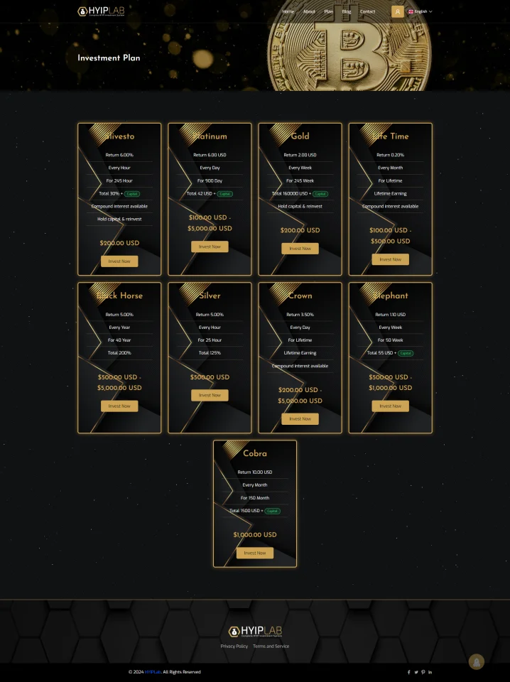 HYIPLAB - Complete HYIP Investment System — screenshot 7