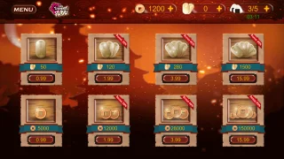 Samurai Warrior: Action Fight