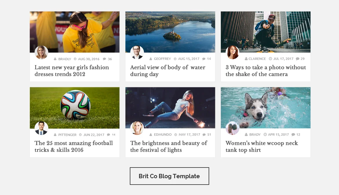 Blog Designer Pro for WordPress — screenshot 4