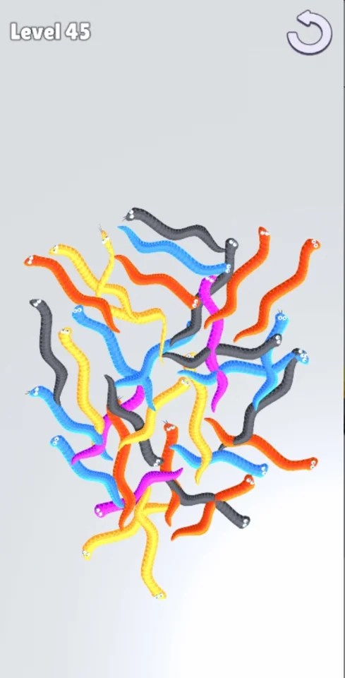Tangle Snakes Puzzle — screenshot 7