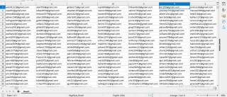 France Verified Email List