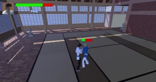 Karate Fight