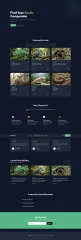Pets - Modern Animal Store & Veterinary HTML Template