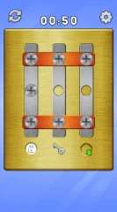 Screw Puzzle: Nuts and Bolts