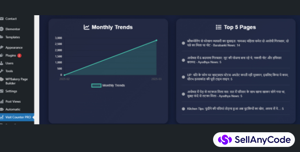 Advanced Page Visit Counter PRO