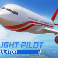 Airplane Flight Pilot Simulato