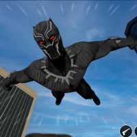Black 3D Panther Fighting Game
