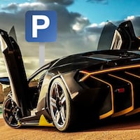 Car Parking 3D Professional