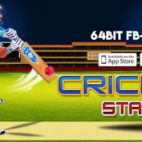 Cricket stars Bowled 2019 64 Bit Supported