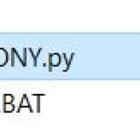 Dicom Anonymizer
