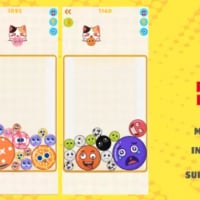 Fruit Merge Drop Puzzle