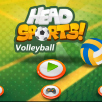 Head Sports Volleyball