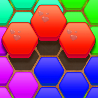 Hexagon Blocks Puzzles